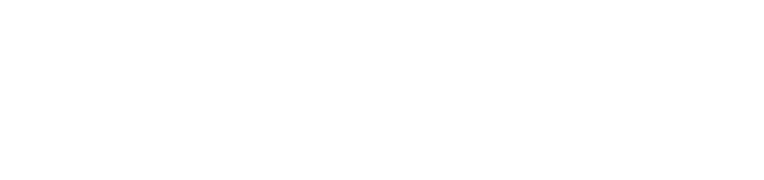 Logo netscout