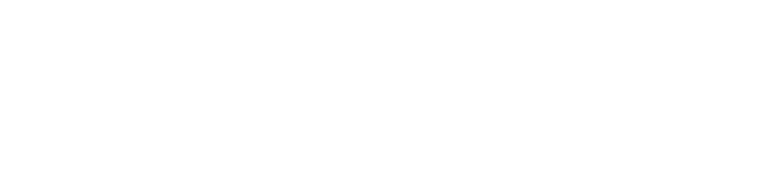 Logo Netscaler